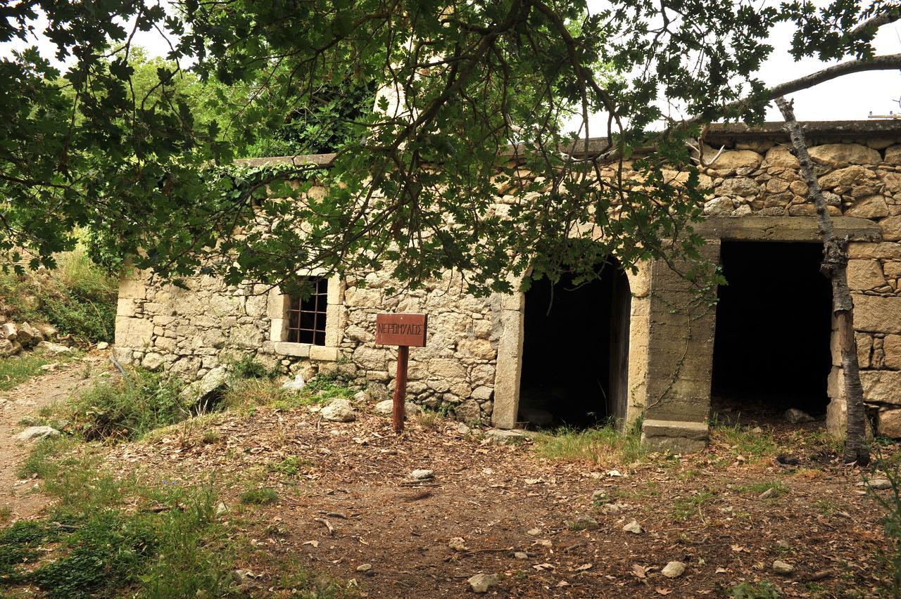 Villa AxentiAgios Thomas  エクステリア 写真