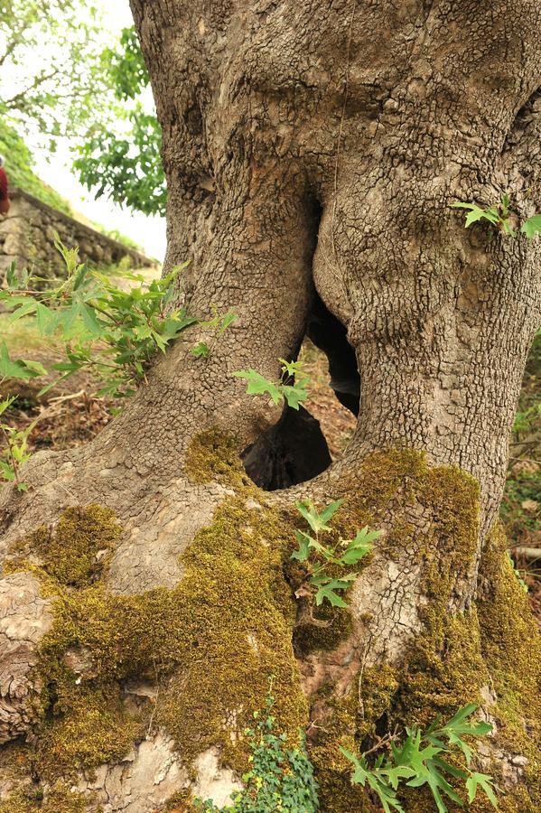 Villa AxentiAgios Thomas  エクステリア 写真