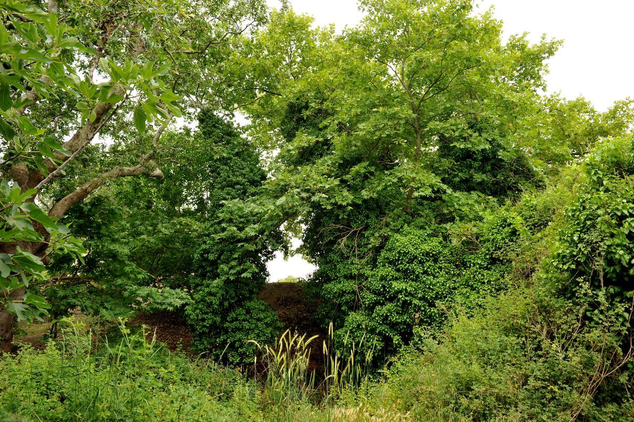 Villa AxentiAgios Thomas  エクステリア 写真